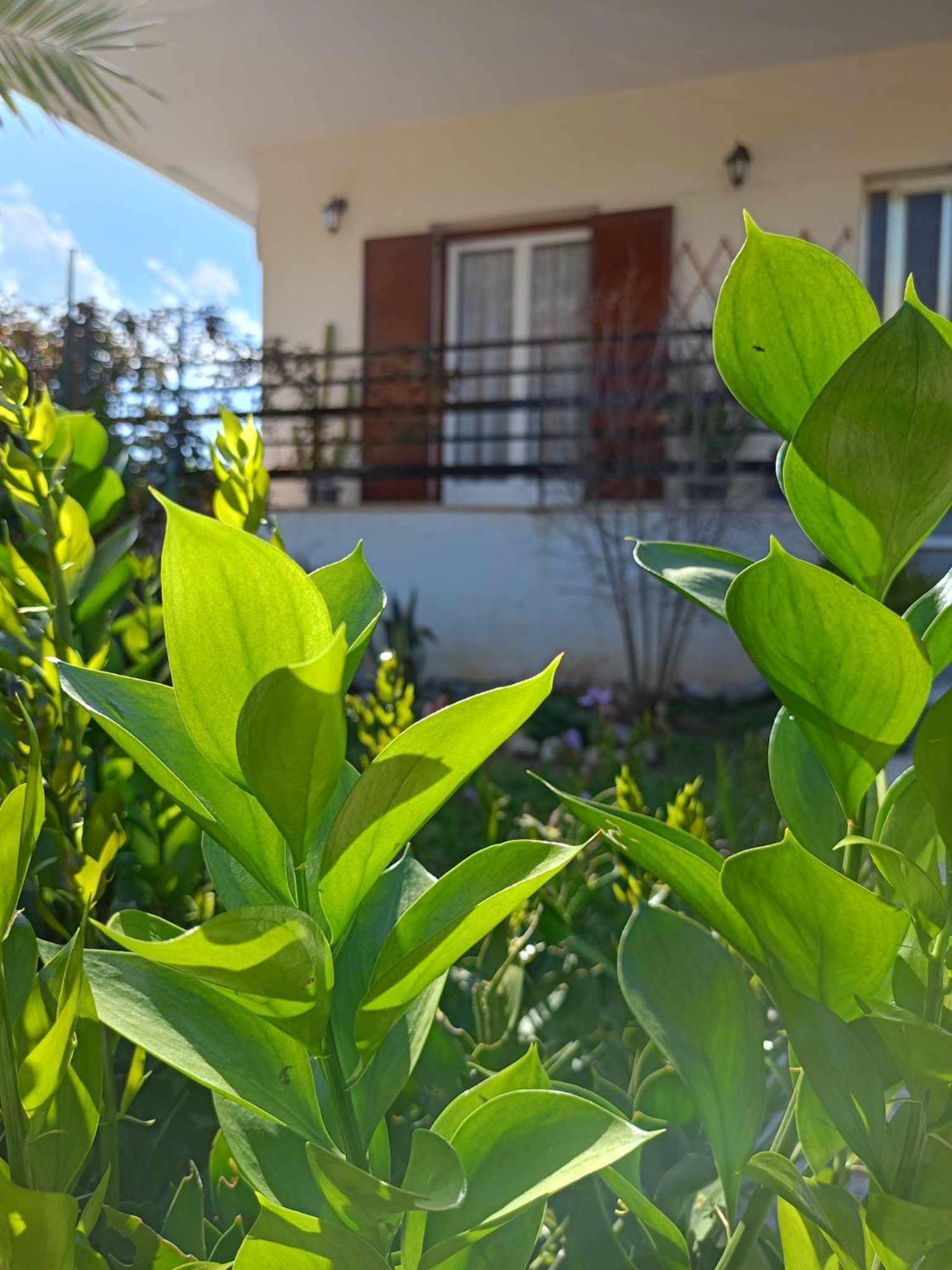 Serene Country House Nafplio Exterior foto